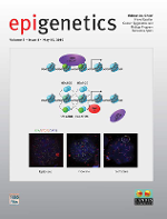 Cover image for Epigenetics, Volume 5, Issue 4, 2010