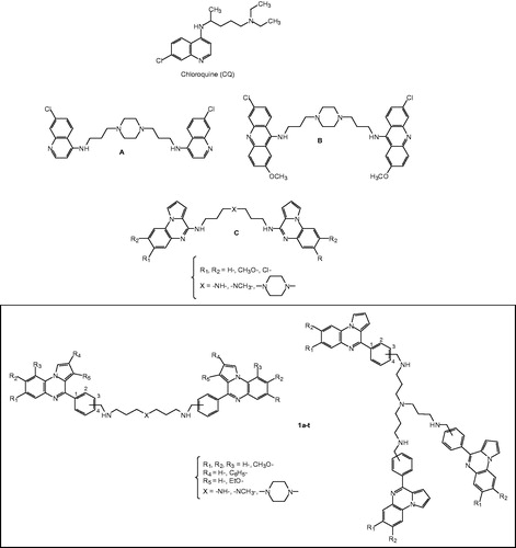 Figure 1. Structure of chloroquine, bisquinolines A, bisacridines B, bispyrrolo[1,2-a]quinoxalines C, and new synthesized substituted bis- and trispyrrolo[1,2-a]quinoxaline derivatives 1a–t.