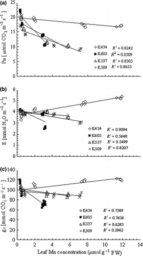 Figure 3 Effects of leaf Mn concentrations on (a) net CO2 assimilation (PN), (b) transpiration rate (E) and (c) stomatal conductance (gS) in the leaves of var. Kneja 434, var. Kneja 605, var. Kneja 509 and var. Kneja 537. Measurements were carried out at 500 μmol m−2 s−1 photosynthetically active radiation. FW, fresh weight.