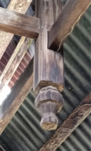 Figure 1. Buah buton hanging in a traditional house in Luak Tanah Mengandung.