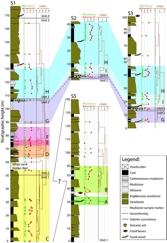 Figure 4. Lithostratigraphy of correlated measured sections (S5, S1, S2, and S3) at Stenkul Fiord with superimposed pollen zones (zones A–I). Units 1–4 of von Gosen et al. (2019) are shown, separated by unconformities, as well as the dated volcanic ash layers (MA-1 and MA-3). The green graph shows Pielou’s species evenness (J), the red graph shows the Shannon-Wiener diversity index (H′) calculated from the angiosperm pollen sum only, because changes in the relative abundance of angiosperms are sensitive to environmental change (Nichols and Ott Citation1978). The orange graph shows the clustering of CONISS cluster analysis. These data points indicate stratigraphic locations of all sampled strata. The brown dashed lines connecting data points of J, H′, and CONISS clusters indicate the 7 mudstone samples. The stratigraphic placement of S5 below S1 is currently uncertain and is shown by a question mark.