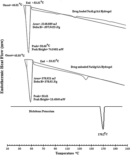 Figure 11. DSC spectra of pure drug (diclofenac potassium), loaded NaAlg/AA hydrogel and unloaded NaAlg/AA hydrogel.