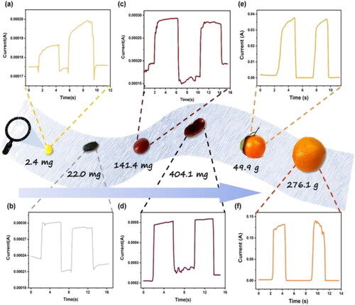 Figure 8. Applications of the wrinkle-structured MXene film-based flexible pressure sensor for detecting various object motions, including small objects’ signals of (a) millet, (b) black rice, (c) red bean, (d) kidney bean and large objects’ signals of (e) small orange, (f) orange.