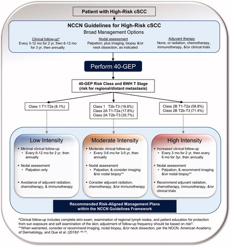 Figure 2. Recommended risk-aligned cSCC patient management plans within the NCCN guidelines framework for prognostic groups based on 40-GEP Class and T stage. Risk for regional/distant metastasis is reported for 40-GEP Class and BWH T stage. *Adjustment of clinical follow-up should be based on risk per the NCCN guidelines. **Imaging, nodal biopsy, and/or neck dissection should be considered (moderate intensity management) or recommended (high intensity management) when warranted per the NCCN, American Academy of Dermatology, and Que et al.Citation41.