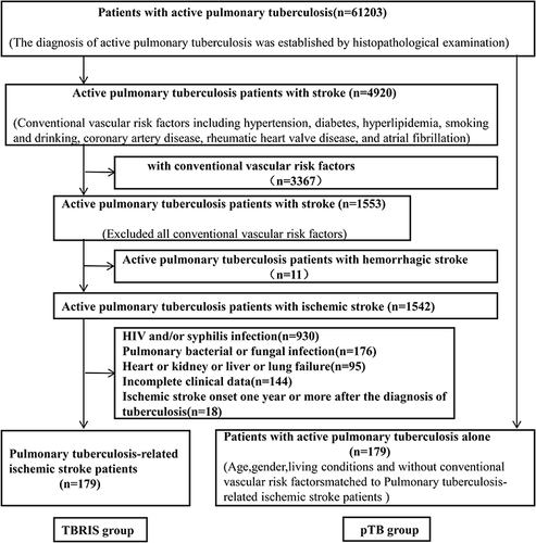 Figure 1 Flowchart for the screening of patients with pulmonary tuberculosis-related ischemic stroke. TBRIS: pulmonary tuberculosis-related ischemic stroke pTB: pulmonary tuberculosis.