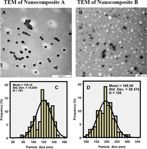 Figure 3 Transmission electron micrographs of Nanocomposite-A (A), Nanocomposites-B (B) and particle size distribution of Nanocomposite-A (C) and Nanocomposite-B (D).