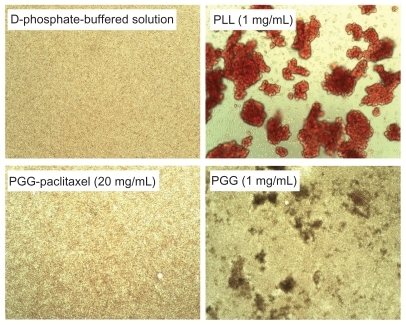 Figure 9 Effects of PGG-paclitaxel, PGG, and PLL on red blood cell aggregation in pH 7.4 phosphate-buffered solution.Figure 10 H460 cells were injected into each shoulder of 6–8-week-old female athymic nude (nu/nu) mice. These mice were treated with a single intravenous injection of PGG-PTX (350 mg/mL, paclitaxel equivalent) when tumor size reached an average volume of 100 mm3. Two mice were sacrificed after treatment, and sections of various tissues were examined by using hematoxylin and eosin staining. (A) heart, (B) liver, (C) spleen, (D) lung, (E) kidney, (F) brain, (G) skin, and (H) small intestine.Note: Magnification 100×.Abbreviations: PGG, poly(L-γ-glutamylglutamine); PTX, paclitaxel.Display full sizeNote: The results are representative of three independent experiments.Abbreviations: PGG, poly(L-γ-glutamylglutamine); PLL, poly(L-lysine).