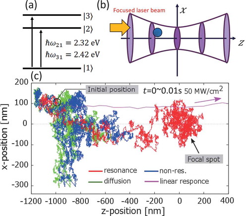 Figure 13. (a) Schematic of the energy level scheme of an assumed molecular aggregate with vibration levels. (b) Schematic of model geometry of a particle irradiated with a focused laser beam. Particle (blue circle) is assumed to be a dye aggregate with 30 nm diameter. (c) Results of Brownian dynamics simulations. In the presence of the manipulation laser, compared with the case of diffusion alone (green line), the molecule gradually approaches the focal spot in the non-resonance case (blue line). In the case of resonance, the particle is pushed by a strong dissipative force, and passes through the focal spot if we consider only the linear response (pink line). If the nonlinear effect is considered, although the dissipative force is saturated to some extent even at the initial position, the molecule is strongly pushed forward to the focal spot owing to the resonance-drifting effect. Subsequently, the molecule is trapped around the focal spot because of the braking effect by the strong nonlinearity