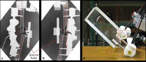 Figure 3. Anteroposterior (AP) X-ray (A), lateral X-ray (B) and transverse photo images (C) of a tibia phantom used in the laboratory validation. Lines and origins were superimposed and six deformity and six mounting parameters were then measured from the images. Pin offset distance and 7 joint configuration parameters were also measured preoperatively.