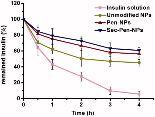 Figure 4. Remained insulin of insulin solution and insulin-loaded nanoparticles (unmodified NPs, Pen-NPs, Sec-Pen-NPs) after incubation in simulated intestinal medium (PBS, pH 6.8) with trypsin at defined intervals. Each data point was expressed as the mean ± SD (n = 3).