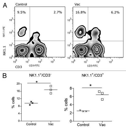 Figure 5. Natural killer cells infiltrate the lungs of vaccinated tumor bearing animals. 3LL tumor bearing C57BL/6 mice, treated with Vac or PBS (Control), were sacrificed 3 d after the second vaccine administration and the frequency of NK and NKT cells measured in lungs by Flow Cytometry. (A) Density dot plot of a representative animal per group. (B) Individual numbers of NK or NKT cells in total lung infiltrating cells (percent) in vaccinated and control mice. Data are representative of 2 independent experiments (*P < 0.05).