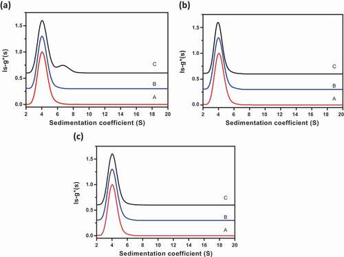 Figure 6. AUC profiles for evaluating intermolecular interactions of mAb-A and mAb-B in Combo. (a) Comparison of AUC profiles of mAb-A, Combo, and a positive control of intermolecular interactions (a:b mixtures of mAb-A and anti-mAb-A antibody). Profile A, mAb-A (red); profile B, Combo (blue); profile C, positive control (a:b mixtures of mAb-A and anti-mAb-A antibody; black). (b) Impact of Combo concentration on ls-g*(s) sedimentation profile. Profile A, Combo at 0.2 mg/mL (red); profile B, Combo at 0.5 mg/mL (blue); profile C, Combo at 2 mg/mL (black). (c) Impact of mAb-A:mAb-B ratio on ls-g*(s) sedimentation profile. Profile A, a:b mixture of mAb-A and mAb-B (red); profile B, 4:1 mixture of mAb-A and mAb-B (blue); profile C, 1:1 mixture of mAb-A and mAb-B (black)