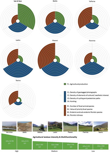 Figure A5. Flower diagrams representing the normalized value of the three aggregated ES and biodiversity indicator for the seven study areas, overlooking forage production (P2). Singularly, each flower diagram allows visualizing the tradeoffs and synergies among ES and biodiversity within a study area; overall, the diagrams allow comparison of the performance of the study areas. Note that the study sites are displayed based on their value of agricultural land-use intensity (i.e. P1 + P2 expressed in €/ha). Accordingly, the study areas are divided into three groups of agricultural land-use intensity, specifying the degree of multifunctionality, i.e. number of ES and biodiversity indicators that exceed the threshold value of 0.5.