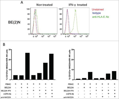 Figure 5. HLA-E expression on NB selectively inhibits NKG2A-expressing NK cells. (A) HLA-E is readily upregulated on the cell surface of the NB cell line BE(2)N upon IFN-γ treatment. (B) m3F8-induced CD107a response among NKG2A+KIR- NK cells (left panel) or NKG2A-KIR- NK cells (right panel) to the IFN-γ treated or untreated BE(2)N target cell in the presence or absence of the anti-NKG2A blocking antibody. Similar results were noted with SKNLH cell line (data not shown)
