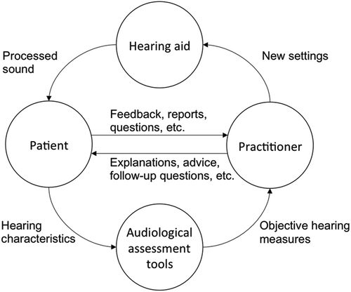 FIGURE 1. schematic diagram of the hearing aid tuning process.