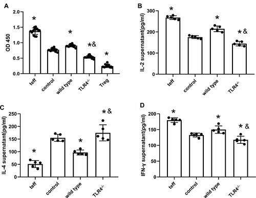 Figure 4 TLR4 deletion reverses HMGB1-induced polarization towards the Th1 phenotype. (A) The CCK-8 method was used to detect the effects of CD4+CD25+ Tregs on the proliferation of CD4+CD25− T cells from different groups. (B) Changes in IL-2 contents in cocultures of CD4+CD25+ Tregs and CD4+CD25− T cells. (C) IL-4 contents in cocultures of CD4+CD25+ Tregs and CD4+CD25− T cells. (D) IFN-γ contents in cocultures of CD4+CD25+ Tregs and CD4+CD25− T cells, *p<0.05 between 3 groups by using Tukey’s test, and &p<0.05 between WT and TLR4-/- group by using t-test.