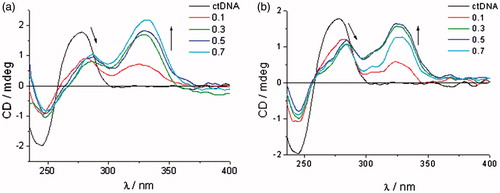 Figure 4. Induced CD spectra of compound 7a (a) and compound 8c (b) with ctDNA (r = 0–0.7).