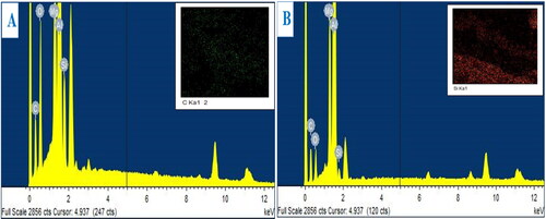 Figure 6. EDX pattern of specimens (a) MWCNT reinforced AlP0507 composite specimens; (b) MWCNT/RHA reinforced AlP0507 hybrid composite specimens.