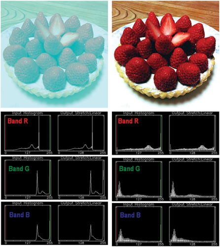 Figure 55. Top left: Red-Green-Blue (RGB) image, source: Akiyoshi Kitaoka @AkiyoshiKitaoka, web page: http://nymag.com/selectall/2017/02/strawberries-look-red-without-red-pixels-color-constancy.html. Strawberries appear to be reddish, though the pixels are not, refer to the monitor-typical RGB input-output histograms shown at bottom left. No histogram stretching is applied for visualization purposes, see the monitor-typical RGB input-output histograms shown at bottom left. Top right: Output of the self-organizing statistical model-based color constancy algorithm, as reported in (Baraldi, Citation2017; Baraldi & Tiede, Citation2018a, Citation2018b; Baraldi et al., Citation2017; Vo et al., Citation2016), input with the image shown top left. No histogram stretching is applied for visualization purposes, see the monitor-typical RGB input-output histograms shown at bottom right.