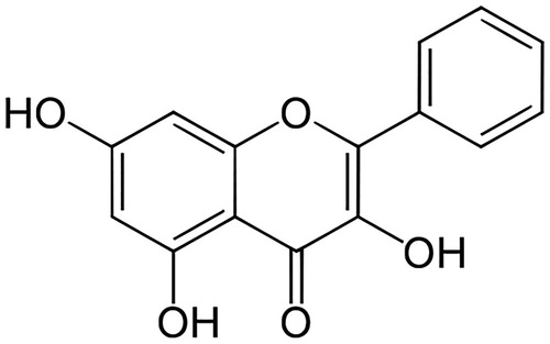 Figure 1. Galangin structure.