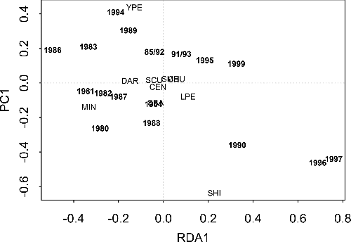 Figure 3. The distribution of sample years in two-dimensional species-space as determined by RDA of abundance (number/net) of common, small-bodied fishes in seine net surveys of Shoal Lake, Ontario, 1980–1997, and 1999. The forward slash separate overlapping years. A close association between species and year suggests there was a relatively high increase in the abundance of that species in that year. CEN = centrarchids, CHU = lake chub (Couesius plumbeus), DAR = non-logperch darters (Etheostomatinae), LPE = logperch (Percina caprodes), MIN = minnows (Pimephales spp.), SBA = sticklebacks (Gasterosteidae), SCU = mottled sculpin (Cottus bairdii), SHI = shiners (Notropis spp.), SMB = smallmouth bass (Micropterus dolomieu), YPE = yellow perch (Perca flavescens).