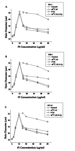 Figure 6. The effect of heat on ionizing radiation induced alterations in nucleoid halo diameters in cells exposed to 45°C for 15 min. Nucleoids were prepared from control (○), irradiated control (□), heated (Δ) and irradiated heated (⋄) HA-1 cells (a), HR-1 cells (b) and OC-14 cells (c) and were then exposed to various concentrations of propidium iodide to perform the FHA assay as described in materials and methods. In HA-1 cells, the DNA in the nucleoids from control and heated cells rewinds the most, radiation alone the least, with the radiation and heat combination intermediate (the masking effect). In HR-1 cell only the inhibition of reminding in irradiated heated cells is attenuated (reduced masking effect). The figure represents the average of three independent experiments ±1 SEM.