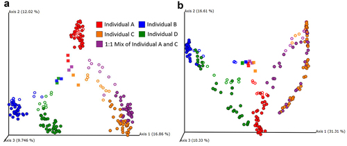 Figure 5. Principal component analysis on diversity and structure of microbial communities derived from fecal samples in MiCoMo by A) Jaccard Distance B) Bray-Curtis Distance. Color: samples from individual donors. Square: original fecal sample. Rings: samples from individual replicate reactors in Day 1–3. Circles: samples from individual replicate reactors in Day 4–14.