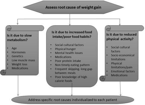 Figure 1 Root causes of diabesity.