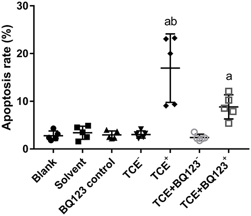 Figure 9 Glomerular apoptosis rate. The cell apoptosis rate in blank control group, solvent control group, BQ123 control group, TCE sensitized negative group and TCE+BQ123 sensitized negative group were about 3%. In TCE sensitized positive group, the cell apoptosis rate was (16.96±7.17)%. The cell apoptosis rate in TCE+BQ123 sensitized positive group was (8.85±2.53)%. a: Compared to solvent control group, P<0.05. b: compared to TCE+BQ123 sensitized positive group, P<0.05.