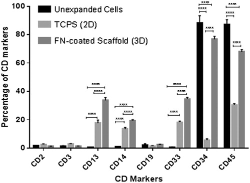 Figure 5. Haematopoietic stem cell (CD34+), granulocytes (CD13 and CD33), lymphocytes (CD2, CD3 and CD19) and monocyte (CD14) markers in unexpanded cells immediately after extraction, 2D and 3D cell culture systems after 10 days expansion.