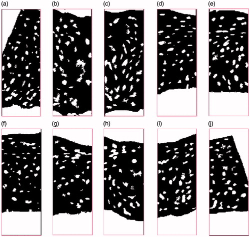 Figure 16. The result of image segmentation.