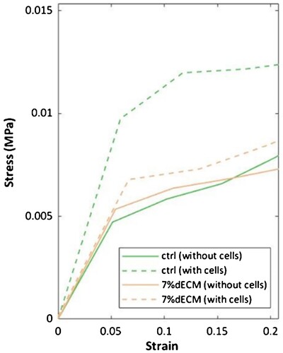 Figure 6. The stress-strain curves of constructs bioprinted with different bioinks (ctrl, 7%dECM) both with and without cells. The measurements were taken within 24 h after production for cell-free constructs, while constructs with m-ASC were assessed at 10 weeks of culture.