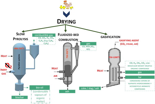 Figure 2. Possibilities of thermal conversion of poultry manure based on own study.