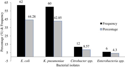 Figure 1 Frequency of ESBL-producing bacteria.