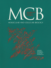 Cover image for Molecular and Cellular Biology, Volume 13, Issue 12, 1993
