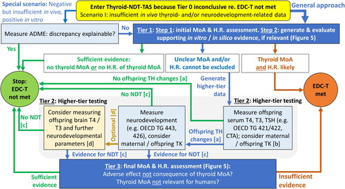 Figure 3. The ECETOC and CLE Thyroid-NDT-TAS. Scenario I: insufficient in vivo thyroid- and/or neurodevelopment-related data at onset of Tier 1.ADME: absorption, distribution, metabolism, elimination; CTA: comparative thyroid assay; DNT: developmental neurotoxicity; EDC-T: endocrine disruptor criteria for thyroid modality; EOGRTS: extended one-generation reproductive toxicity study; H.R.: human relevance; MoA: mode-of-action; NDT: neurodevelopmental toxicity; OECD: Organisation for Economic Co-operation and Development; T3: triiodothyronine; T4: thyroxine; TG: test guideline; TK: toxicokinetics; TSH: thyroid stimulating hormone.Colour legend: yellow shape: conclusion from Tier 0 evaluation to enter the Thyroid-NDT-TAS; dark blue boxes: MoA and human relevance assessment (Figure 5); light blue boxes: elements of the assessment; blue arrows: continuation of evaluation; ochreous box and arrows: optional elements of the assessment (as the respective parameters have not yet been formally validated or adopted for regulatory use); grey shading: elements of the higher-tier testing; red-brown vs green arrows and text: findings leading to conclusion that the EDC-T are met (red-brown circle)/are not met (green circle).[a] Consider offspring serum T4, T3, and TSH thresholds observed by Marty et al. (Citation2022) to support the determination of the biological relevance of findings (Section 2.1.2.3).[b] Following expert judgement, further serum thyroid hormone data may not be necessary. Measurements of maternal and offspring plasma concentrations of the test material may be used to calculate placental transfer.[c] See Section 2.2.3 for details on neurodevelopmental assessments.[d] Following expert judgement, consider additional investigations using culled pups from the EOGRTS (or DNT study) and/or the performance of in vitro mechanistic assays and/or (not TG-conforming) perinatal studies to measure, e.g. brain thyroid hormones and/or receptor occupancies using immunohistochemistry. As relevant, consider measuring brain thyroid hormone already during the performance of the EOGRTS (or DNT study). Measurements of maternal and offspring plasma concentrations of the test material may be used to calculate placental transfer.