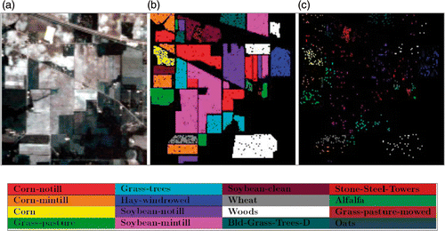 Figure 2. Indian Pine dataset. (a) False colour representation of the Indian Pines image, (b) test and (c) training sets.