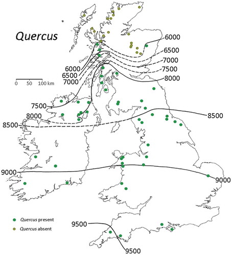 Figure 11. Isochrones (in radiocarbon years BP) for Quercus pollen in Britain and Ireland. Modified from Birks HJB (Citation1989).