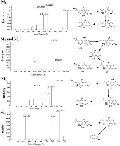 Figure 14. Mass spectrum (MS/MS) of toddalolactone and its metabolites.
