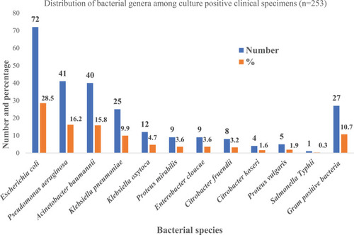 Figure 1 Distribution of bacterial genera in culture-positive clinical specimens (n=253).