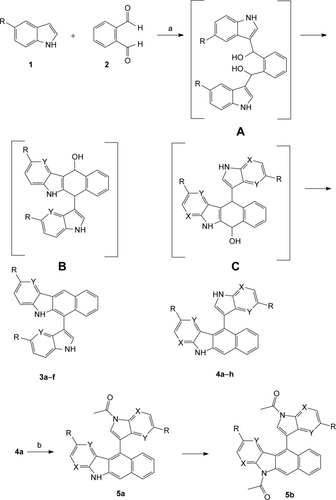 Scheme 1 Reagents and conditions for compound formation: (A) HAc, reflux; (B) DMAP, Et3N, Ac2, CH2Cl2, RT.