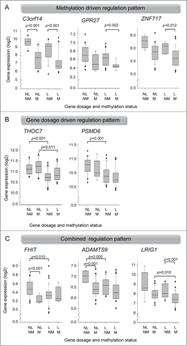 Figure 4. Individual and combined effect of loss and hypermethylation on gene expression. Box plots of gene expression in 4 groups of tumors with different combination of gene dosage and methylation status, demonstrating individual effect of methylation (A), individual effect of gene dosage (B), and combined effect of methylation and gene dosage (C) on gene expression. In total, 73 tumors from cohort 1 were included, for which gene expression, gene dosage, and methylation data were available. NL: no loss; L: loss; NM: not hypermethylated; M: hypermethylated. The median expression value of each group is indicated by the horizontal lines, and the edges of the boxes represent the first and third quartiles. P-values from Welch's t-test are indicated. All indicated differences had an adjusted P ≤ 0.10.