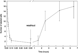 4 Kinetics of inhibition and recovery. Dye transfer was measured between liver epithelial cells following treatment with 50 μM retinaldehyde for different periods of time up to 30 min. Cells treated for 30 min with retinaldehyde were washed (washout), incubated in retinaldehyde-free growth medium for various periods of time and dye transfer was measured. Lucifer yellow was used as the dye.