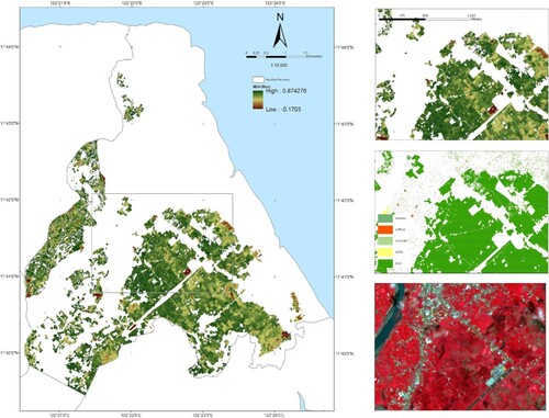 Figure 4. The NDVI map for September 2018, focusing on rice land cover to emphasize the pre-harvest season. This map is utilized as an input for the vegetation index indicator. The index maps are generated from NDVI subsets, LiDAR-derived agricultural land cover, and a false color composite image.
