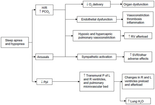 Figure 2 Pathophysiological consequences of obstructive sleep apnea.