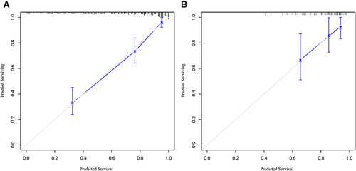 Figure 6 Calibration curves and validation cohort of nomogram. (A) calibration curves; (B) validation cohort. The diagonal dotted line is an ideal line, indicating perfect prediction of the nomogram. The solid line represents the actual predictive performance of the nomogram. The closer the solid line to the ideal line, the better the predictive accuracy of the nomogram.