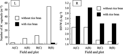 Figure 5. Effects of application of rice bran on number of M. vaginalis in field (L) and settled soil volume in water (SSVW;R) (2014). The soil sample was collected on July 2 (day 29 after transplanting). Plant material of M. vaginalis was sampled on July 22 (day 49 after transplanting).