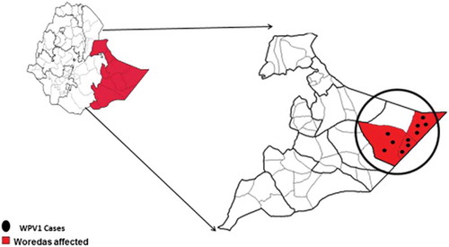 Figure 1. Map of wild poliovirus (WPV) type-1 cases in the Doolo zone (circled) in the Somali Region of Ethiopia, 2013–2015.