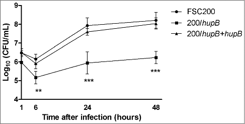 Figure 1. HU protein is a prerequisite for effective Francisella proliferation inside BMMs. Significant difference in ability of intracellular growth is evident at 6 h after infection. Mutant strain is not able to replicate in murine macrophages as effectively as both WT and complemented strains. P value < 0.05 #, P < 0.01 ##, P < 0.001 ###, P < 0.0001 ####.