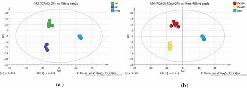 Figure 2. (a) Unsupervised PCA score plot of 24 h, 48 h, and control; (b) Unsupervised PCA score plot of MeJA-24 h, MeJA-48 h, and control